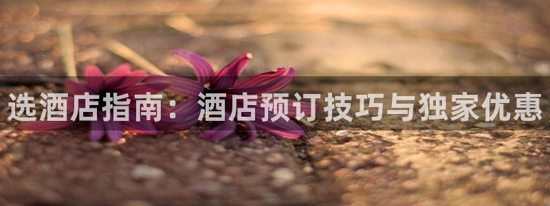 凯发网娱乐官网登录