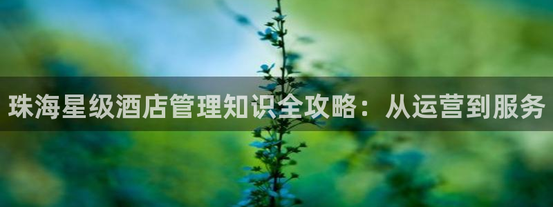 凯发移动版