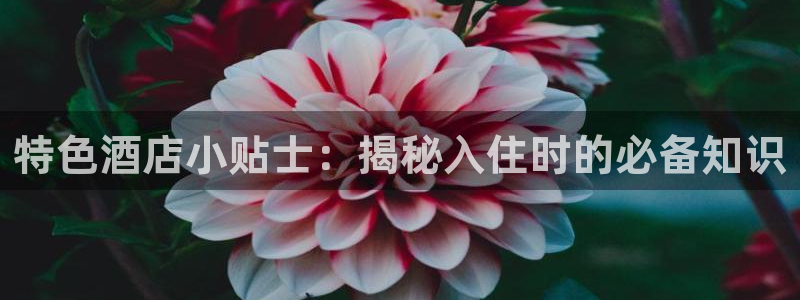凯发k8官网备用网址