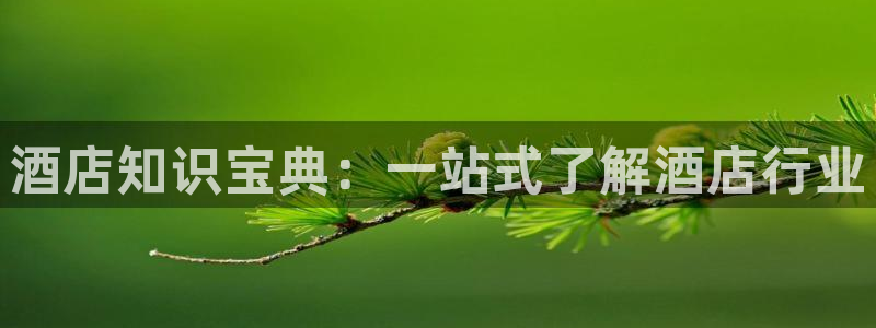 凯发k8天生赢家一触即发