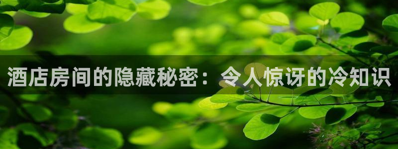 凯发正规官方网址